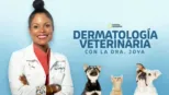 thumbnail - Dermatología veterinaria con la Dra. Joya