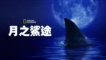 thumbnail - 月之鯊途