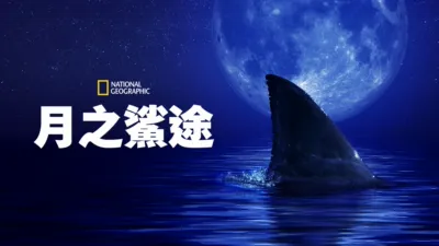 月之鯊途