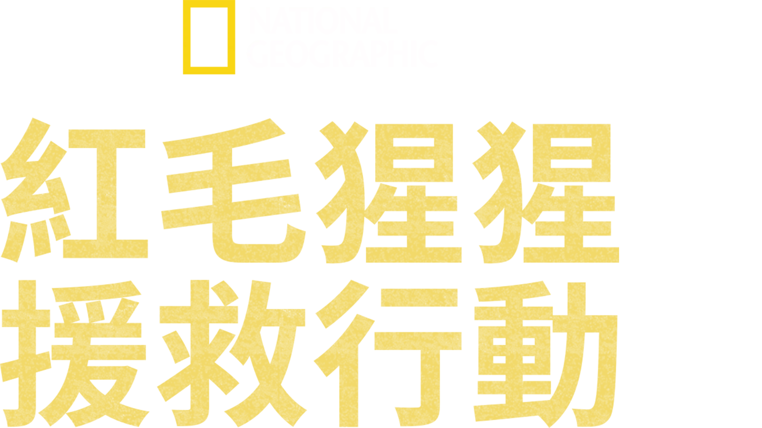 紅毛猩猩援救行動