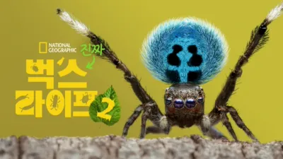 진짜 벅스 라이프