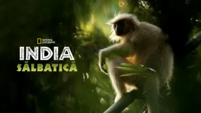 thumbnail - India sălbatică