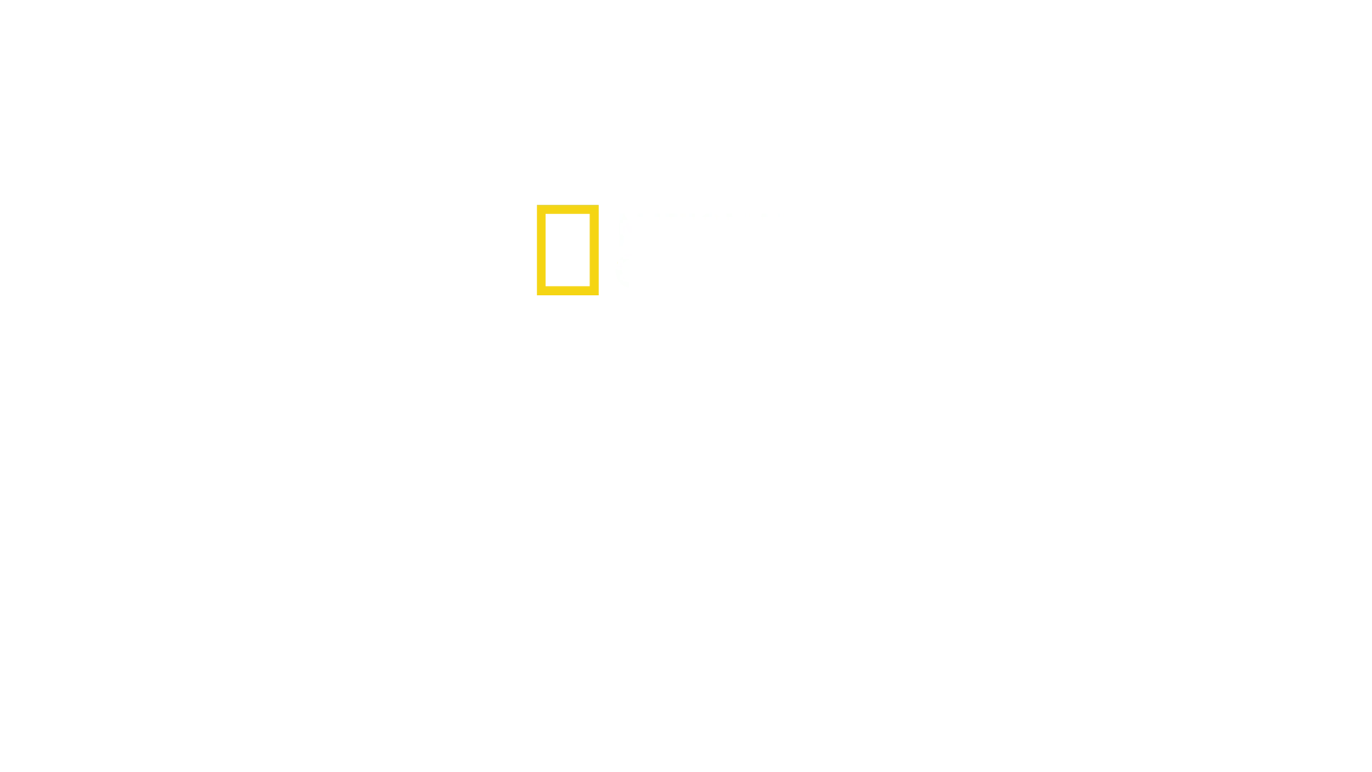 The Flagmakers: una storia a stelle e strisce