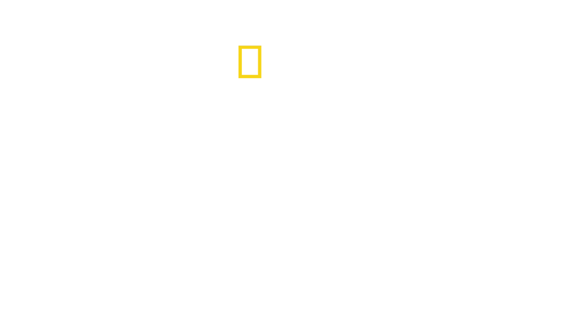 Segunda Guerra Mundial Inferno Debaixo do Mar