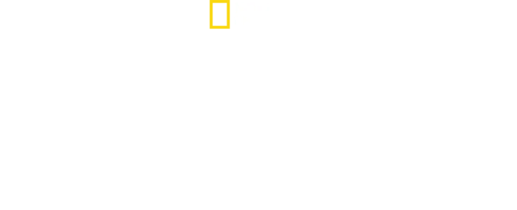 Segunda Guerra Mundial Inferno Debaixo do Mar