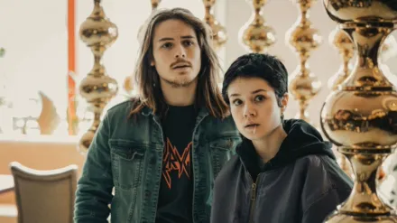 Stralsund - Wilde Hunde