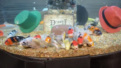 thumbnail - S4:E4 Tip of the Hat to the Devils