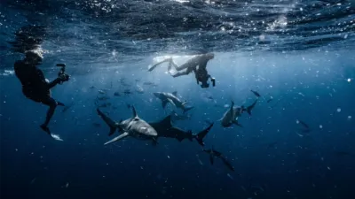 thumbnail - S2:E2 City Bites