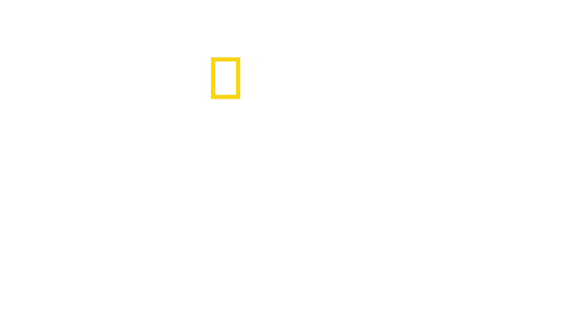 Inside Airport : objets trouvés