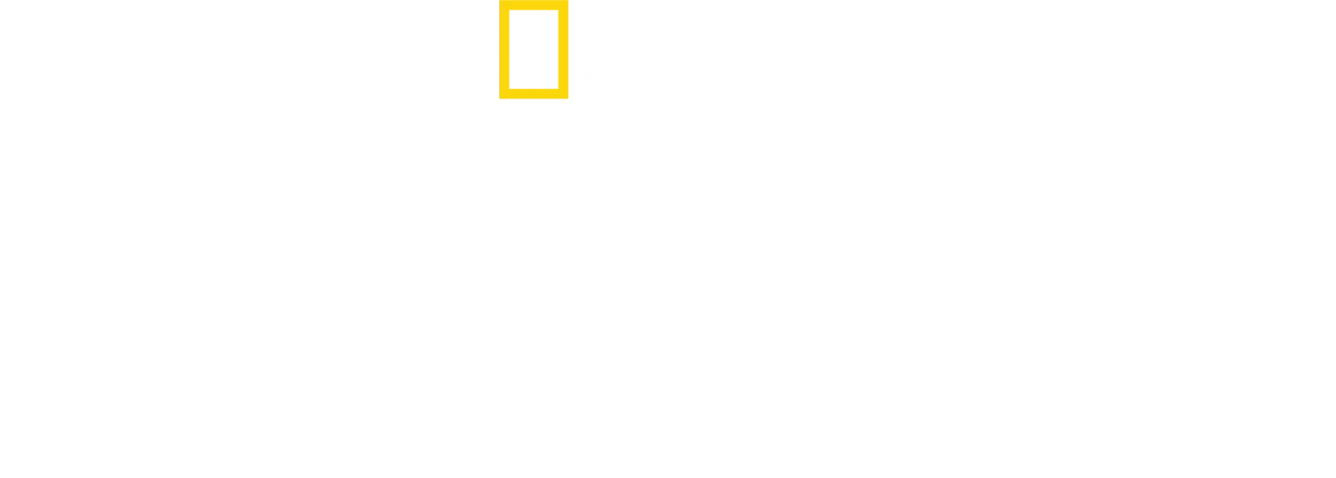 Inside Airport : objets trouvés