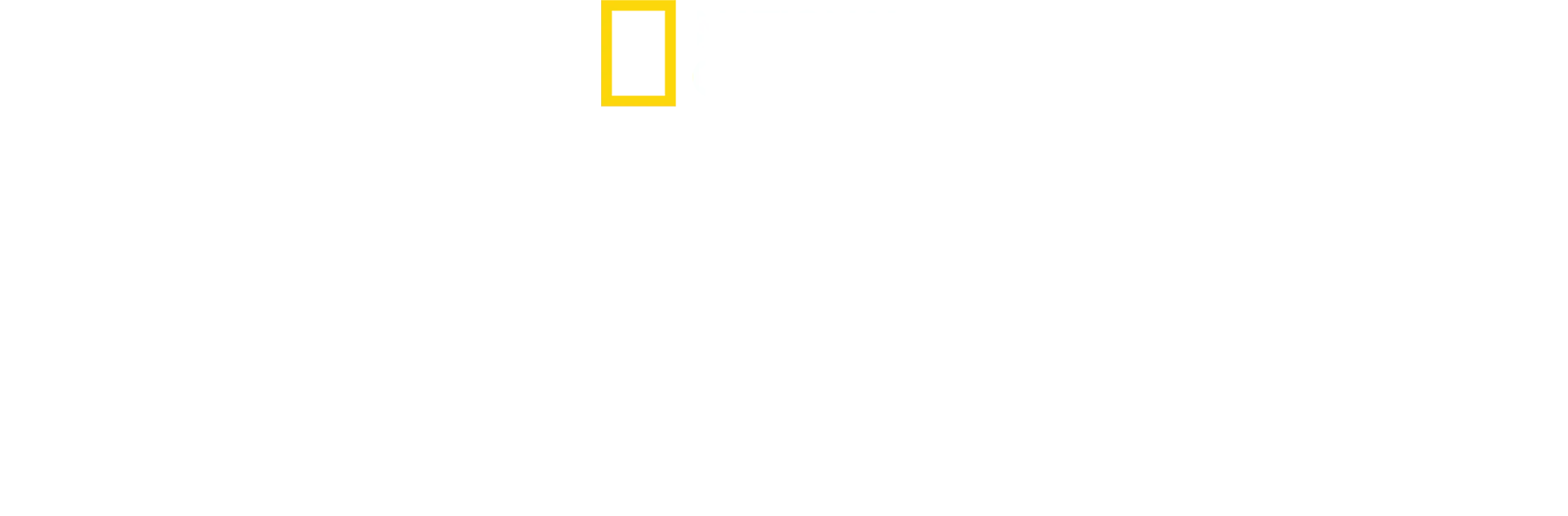 Havaalanının İçinden: Kayıp Eşyalar