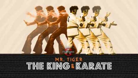 thumbnail - Mr. Tiger: The King and Karate