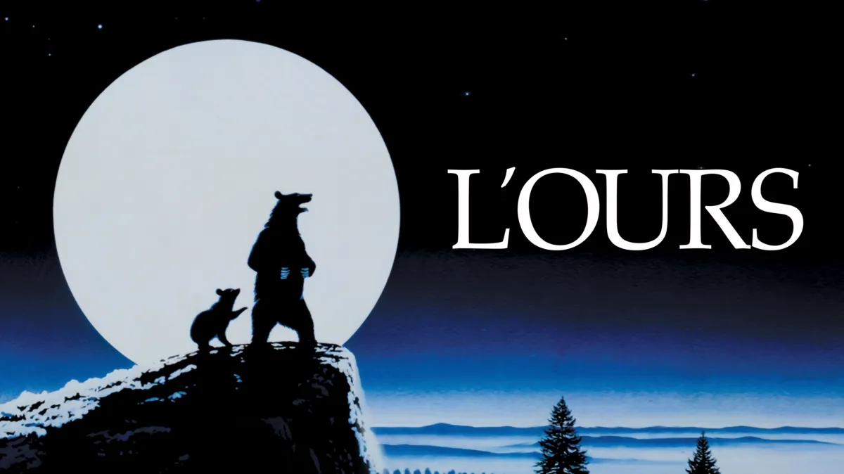 Watch The Bear | Disney+