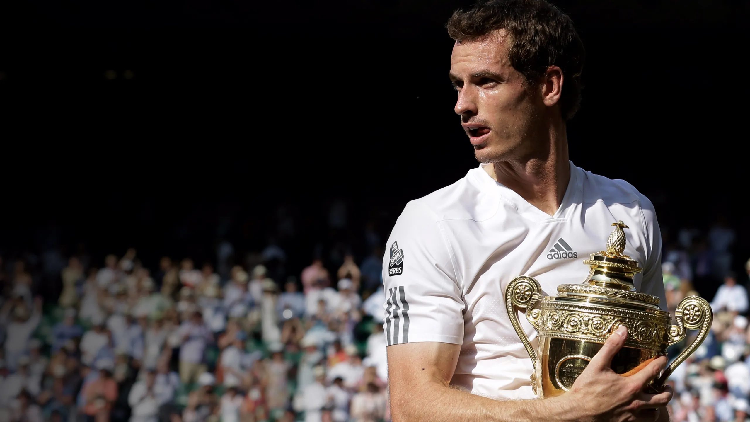 2013 Men's Wimbledon Final