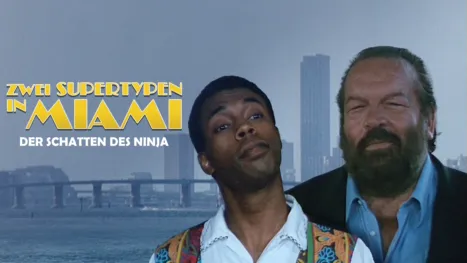 thumbnail - Zwei Supertypen in Miami - Der Schatten des Ninja
