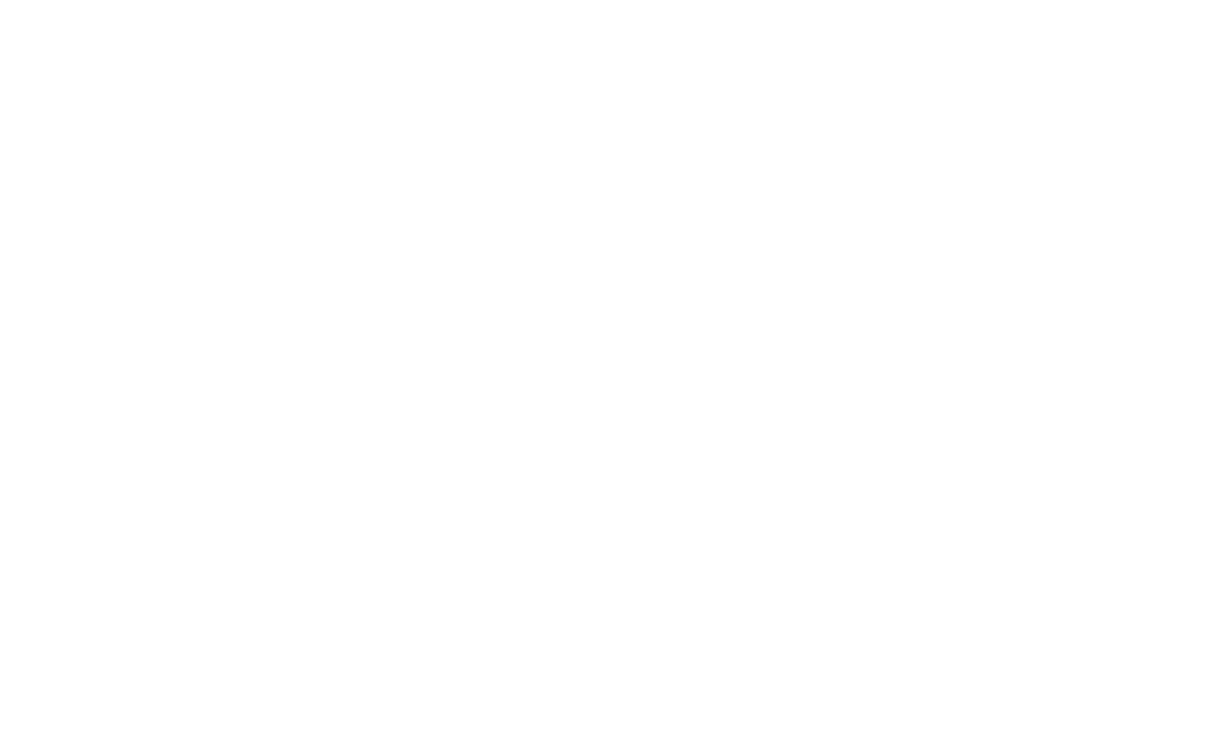WaPo Elbe