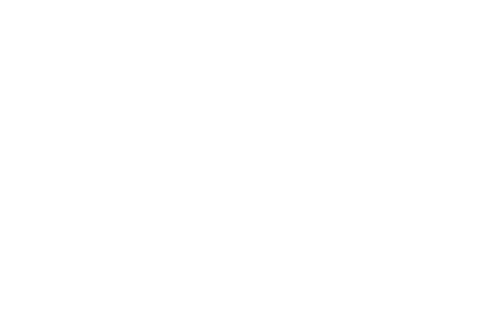 Hubert Butler: Witness to the Future