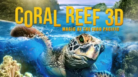 thumbnail - Coral Reef 3D: Magic of the Indo Pacific