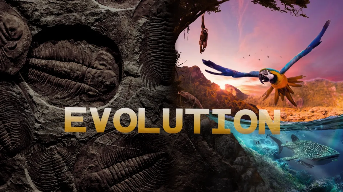 Δείτε το «Evolution» | Disney+