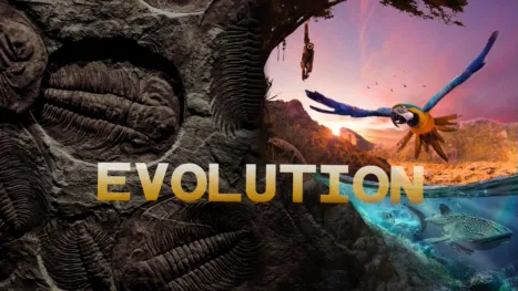 thumbnail - Evolution