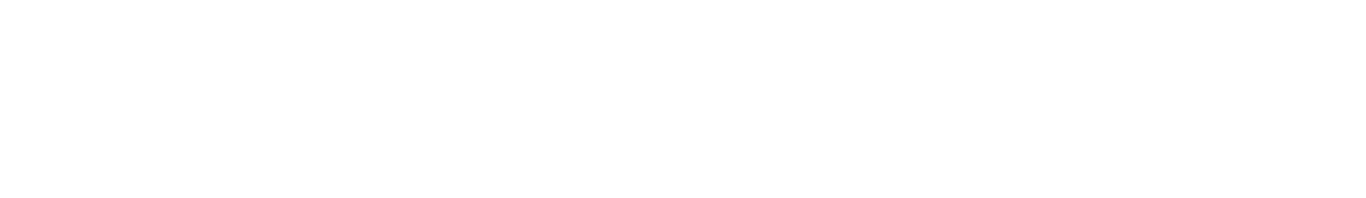 Diana Princess of Wales - A Celebration of a life