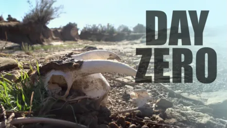 thumbnail - Day Zero