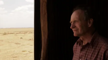 Dead Donkeys Fear No Hyenas