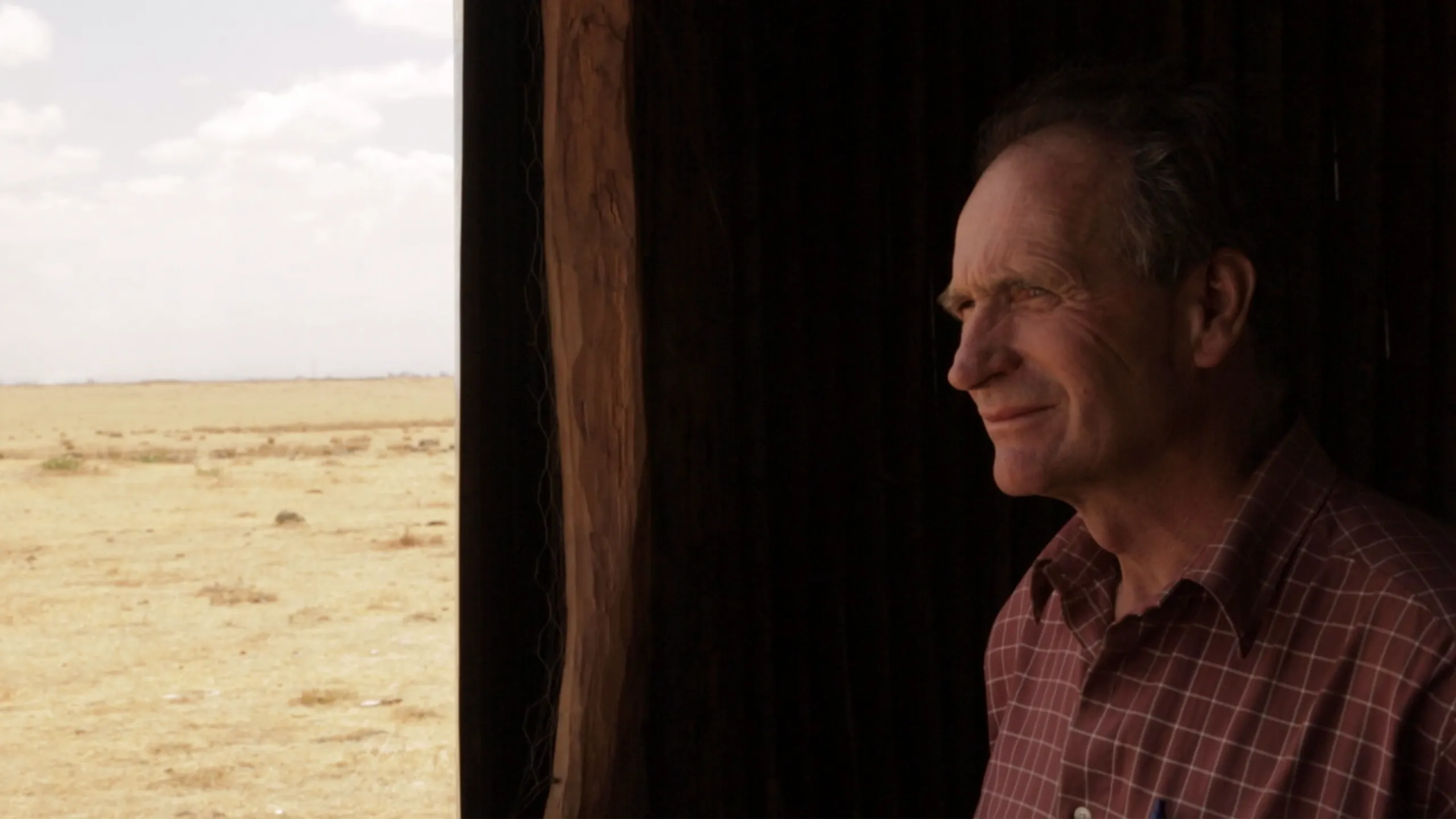 Dead Donkeys Fear No Hyenas