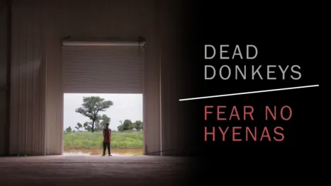 thumbnail - Dead Donkeys Fear No Hyenas