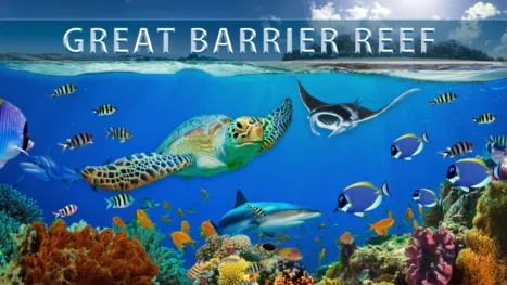 thumbnail - Great Barrier Reef
