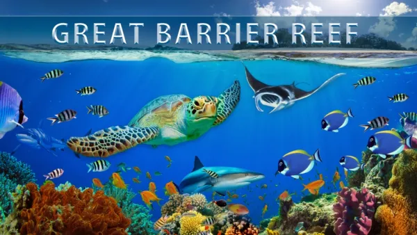 thumbnail - Great Barrier Reef