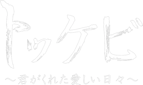 トッケビ～君がくれた愛しい日々～