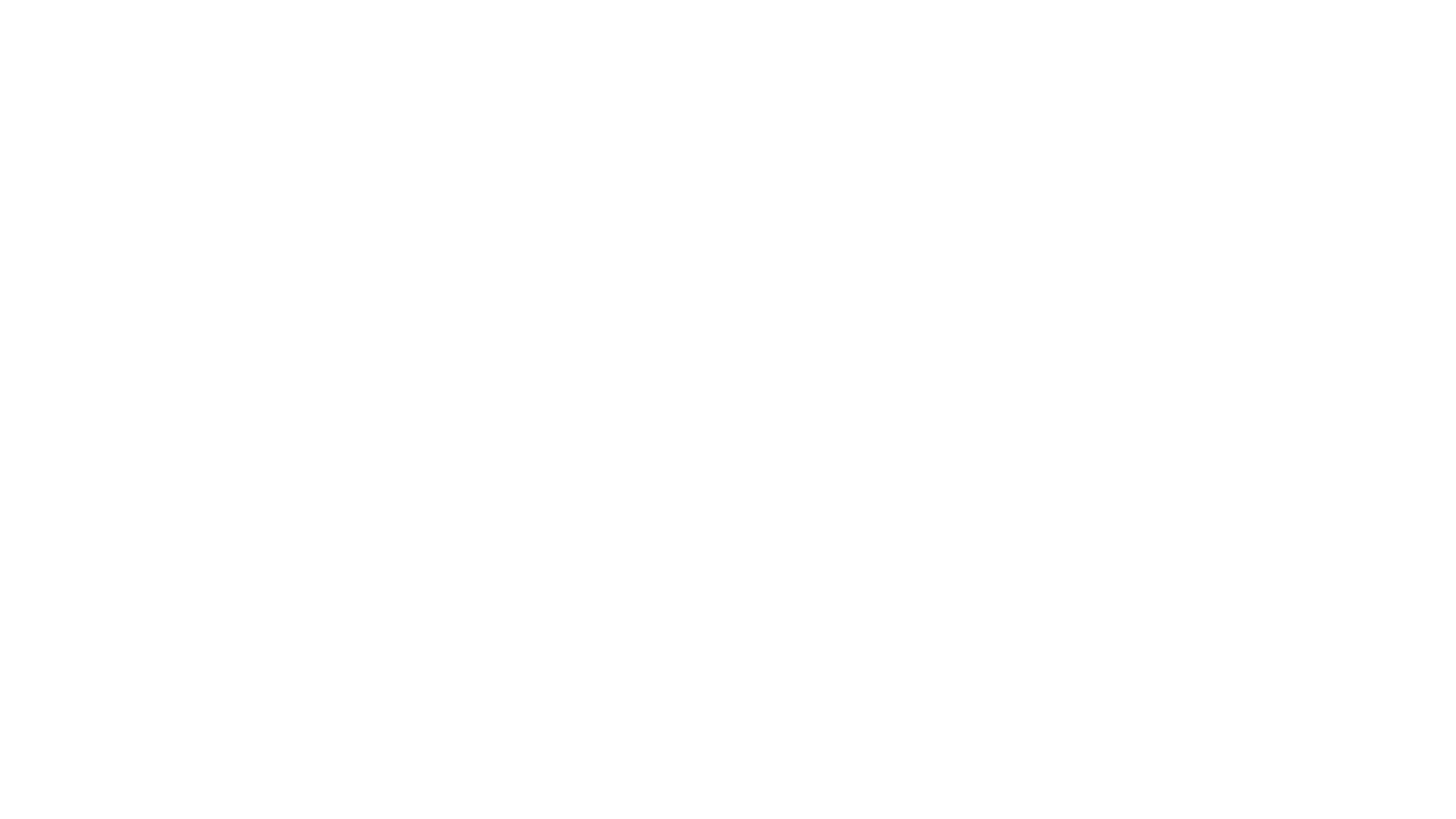 Mister Rabbit