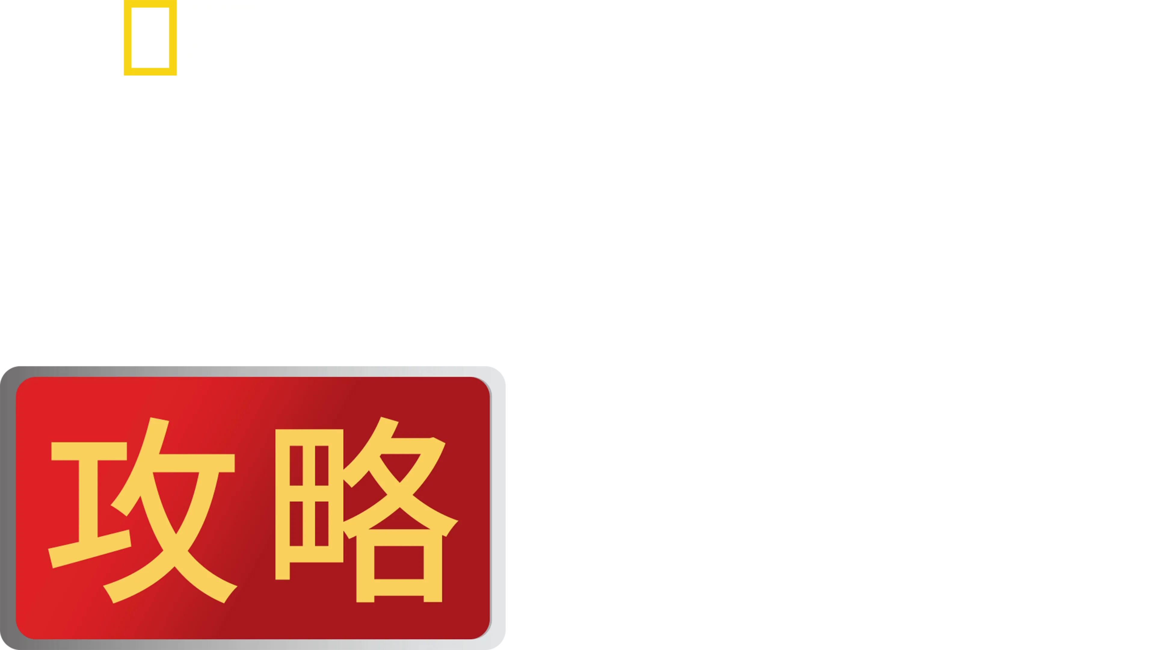 必胜攻略