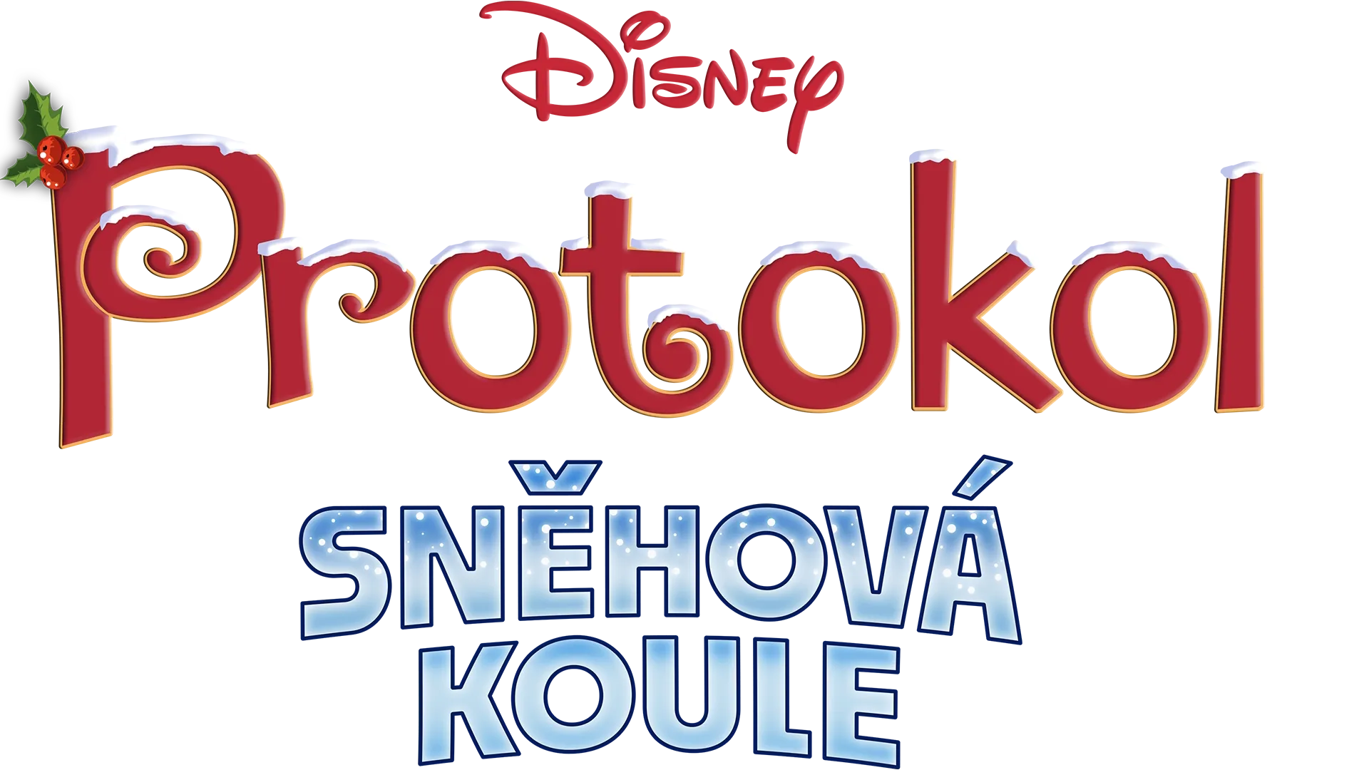 Protokol Sněhová koule