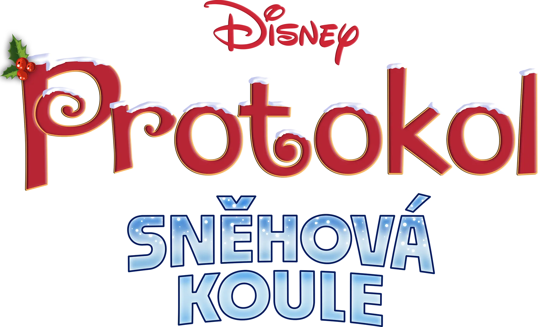 Protokol Sněhová koule