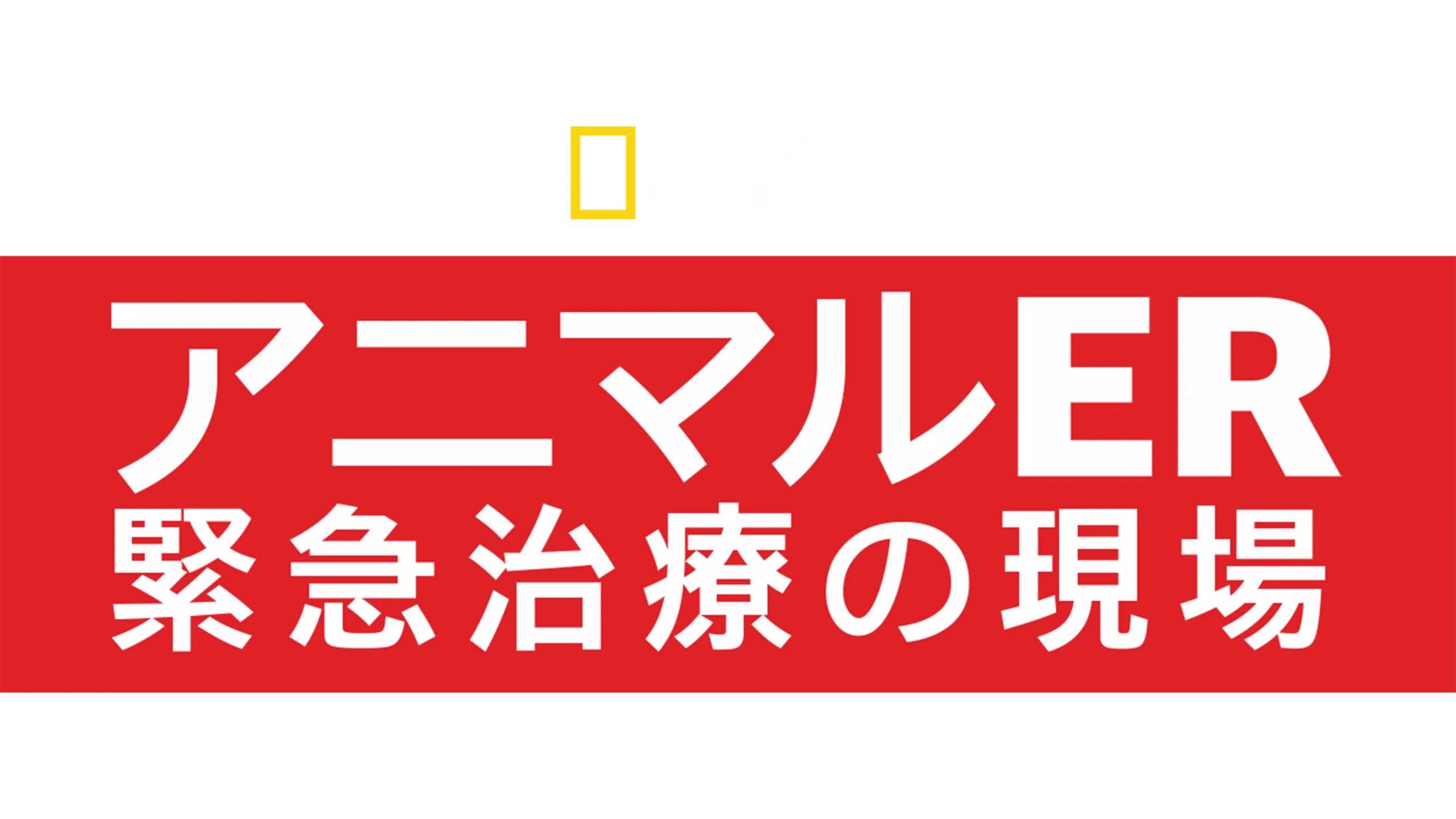 アニマルER 緊急治療の現場