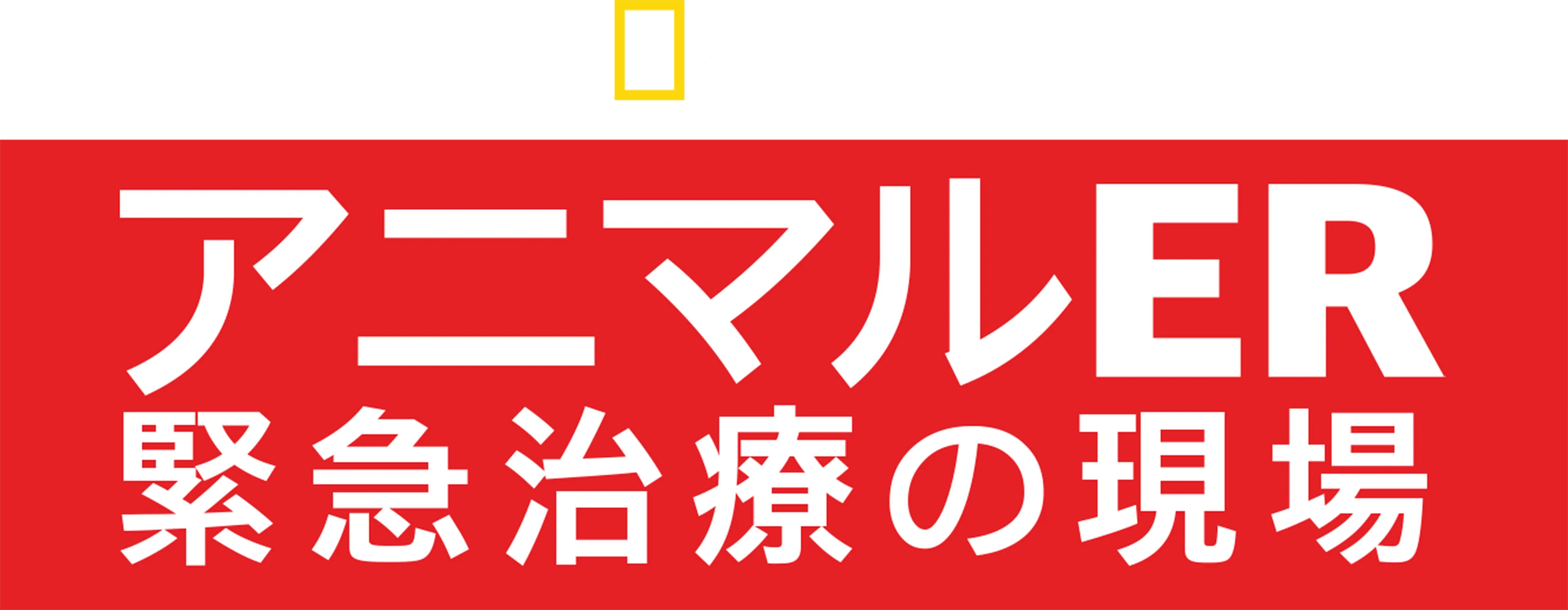 アニマルER 緊急治療の現場