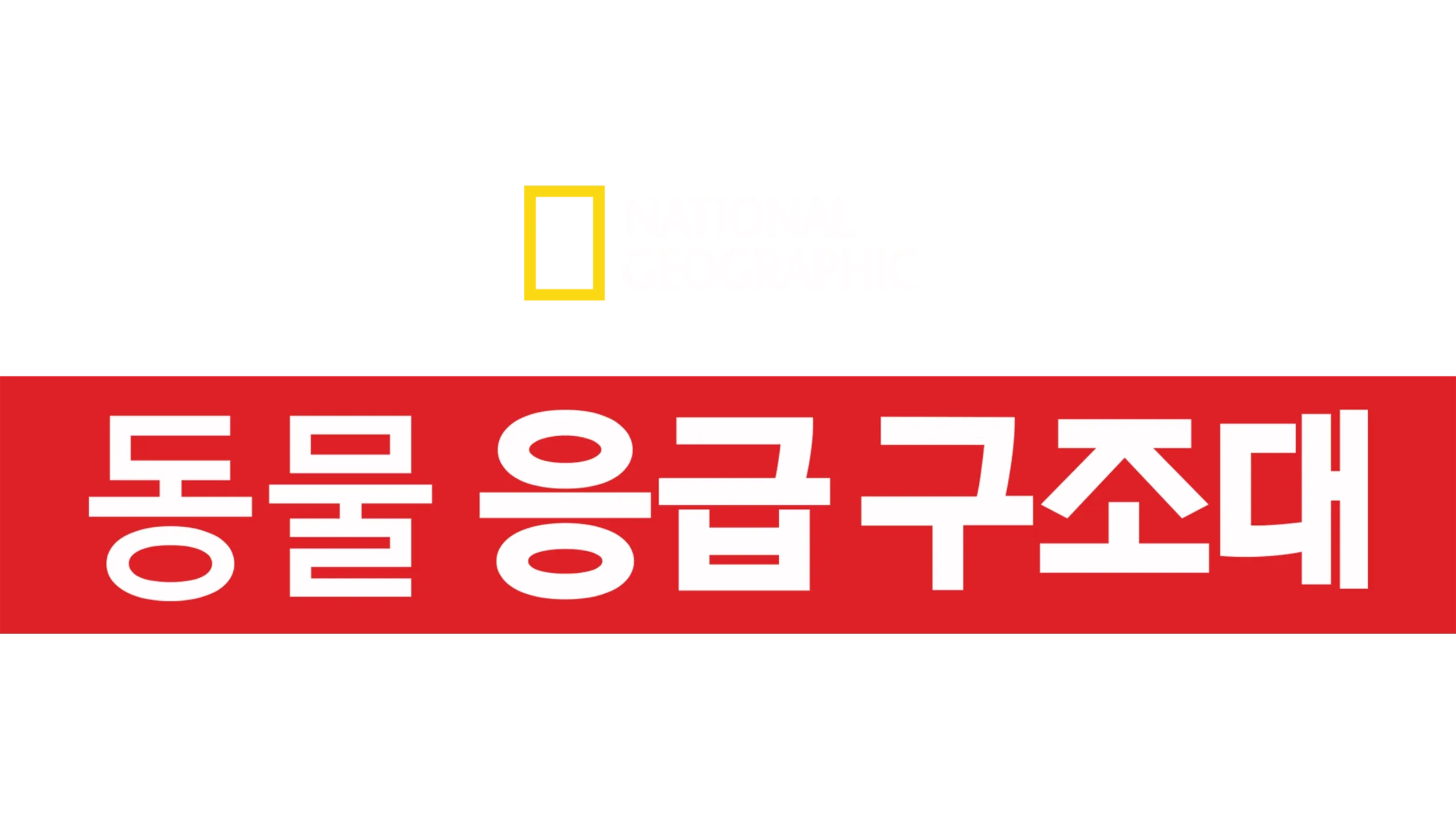 동물 응급 구조대