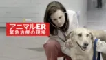 thumbnail - アニマルER 緊急治療の現場