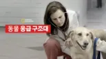 thumbnail - 동물 응급 구조대