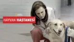 thumbnail - Hayvan Hastanesi