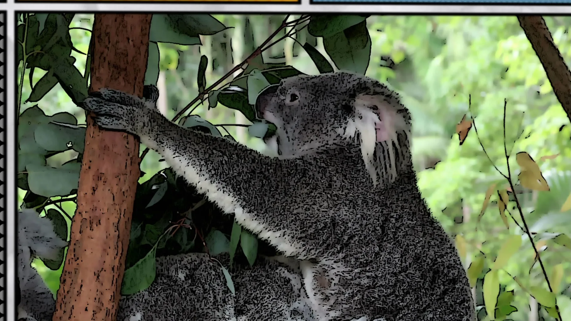 thumbnail - S3:E1 Amazing Aussies