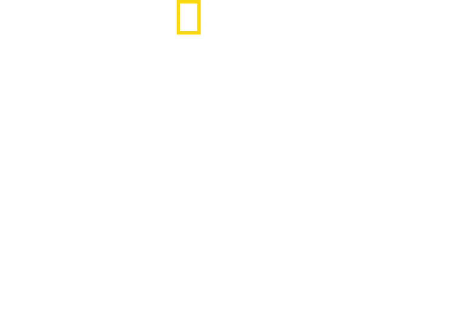 D-Day: Operation Neptune