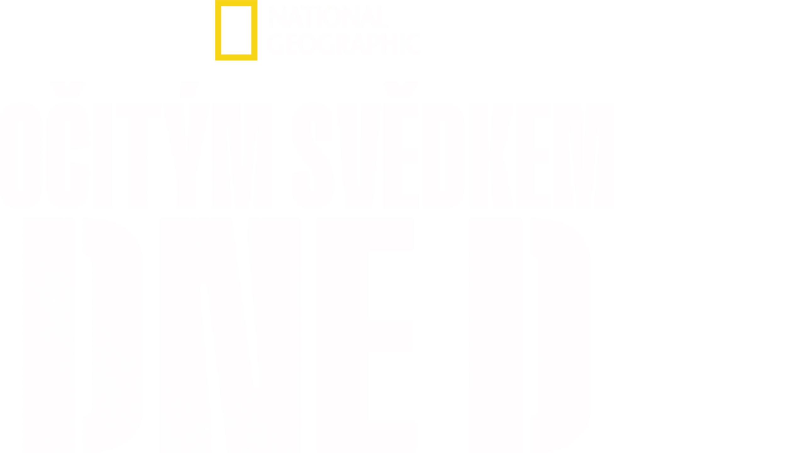 Očitým svědkem dne D