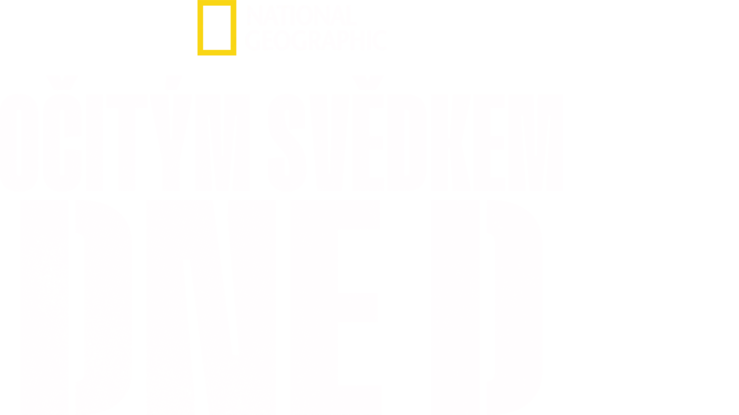 Očitým svědkem dne D