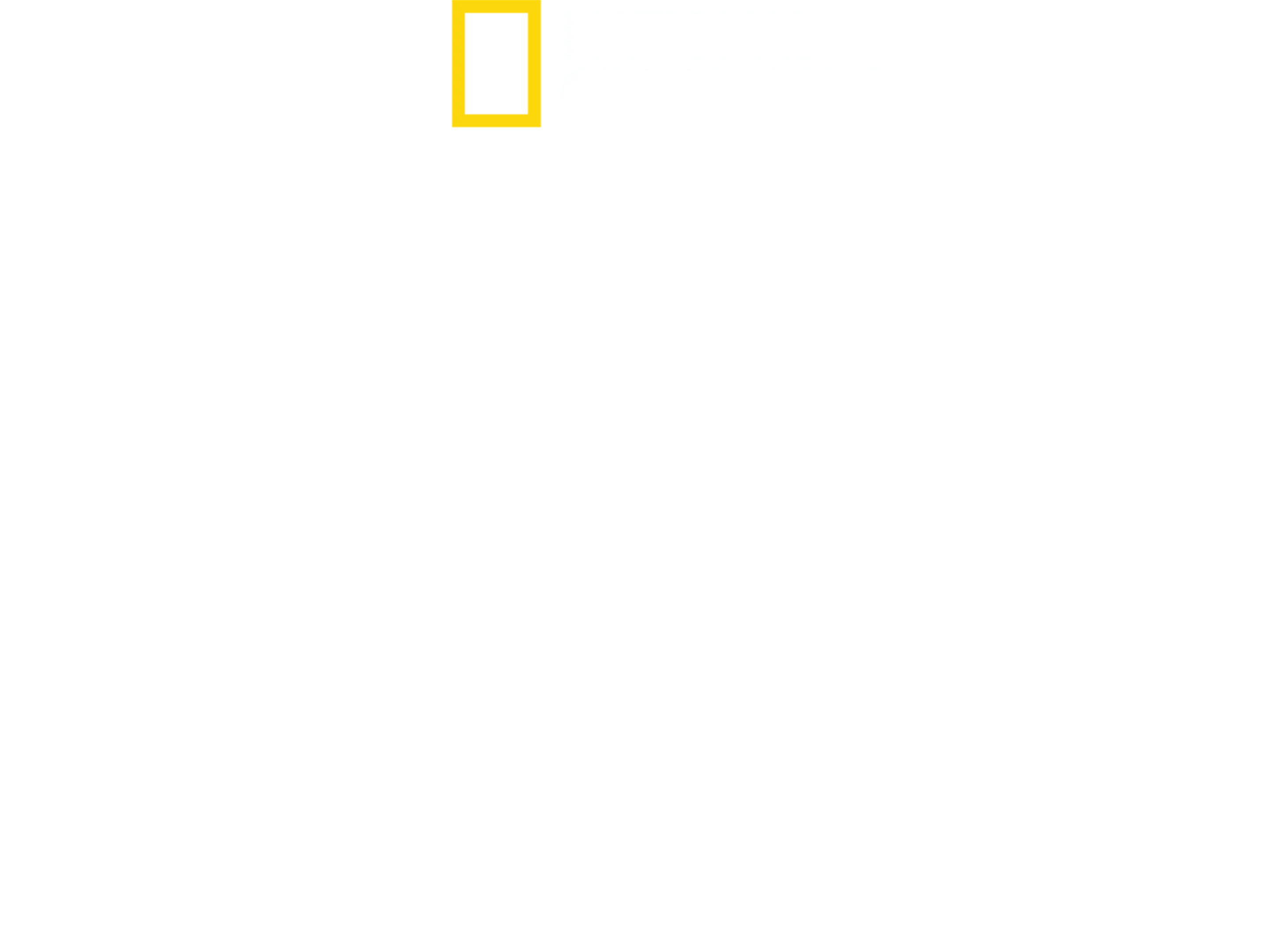 Očitým svědkem dne D
