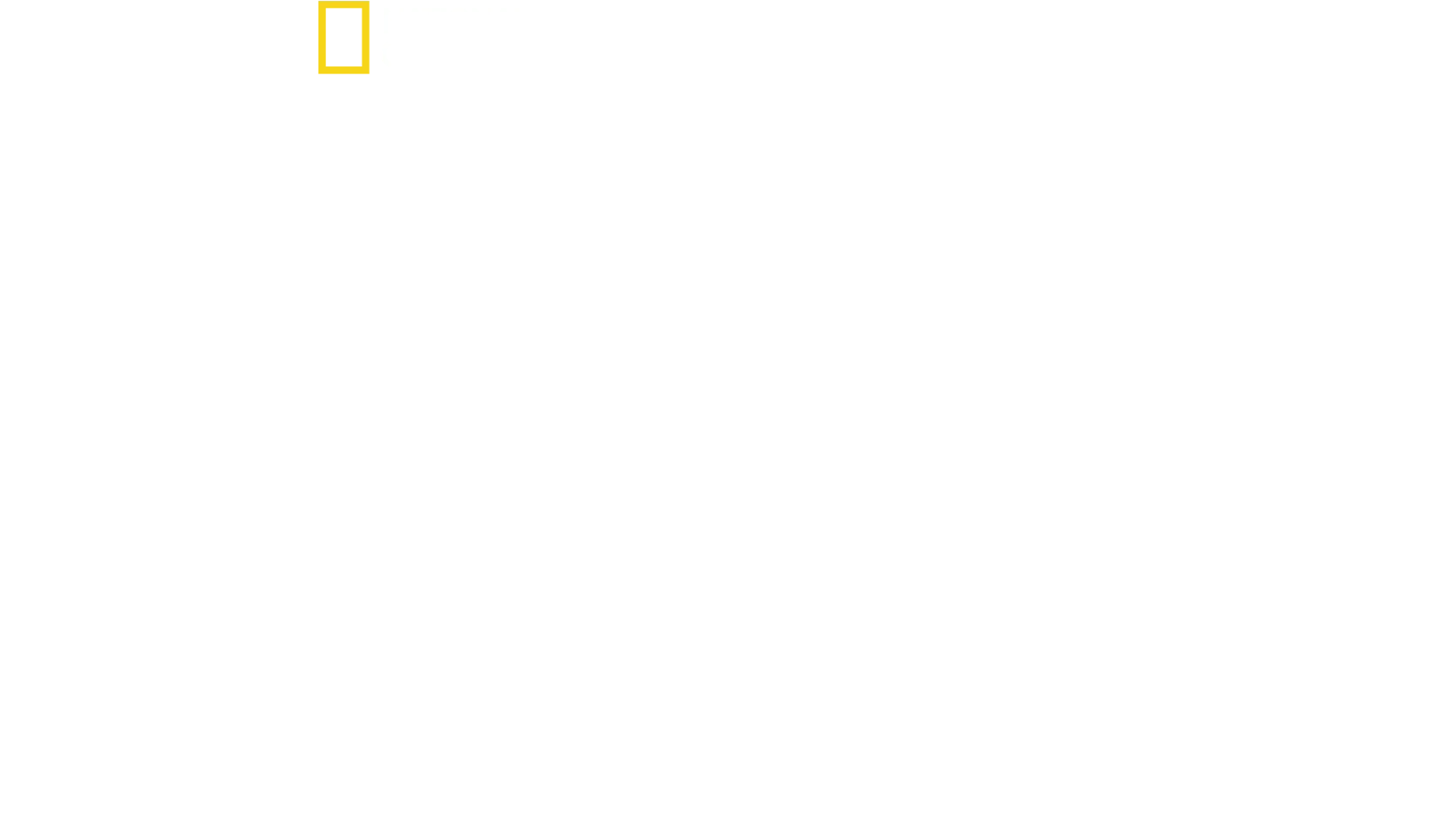Testigos del Día D
