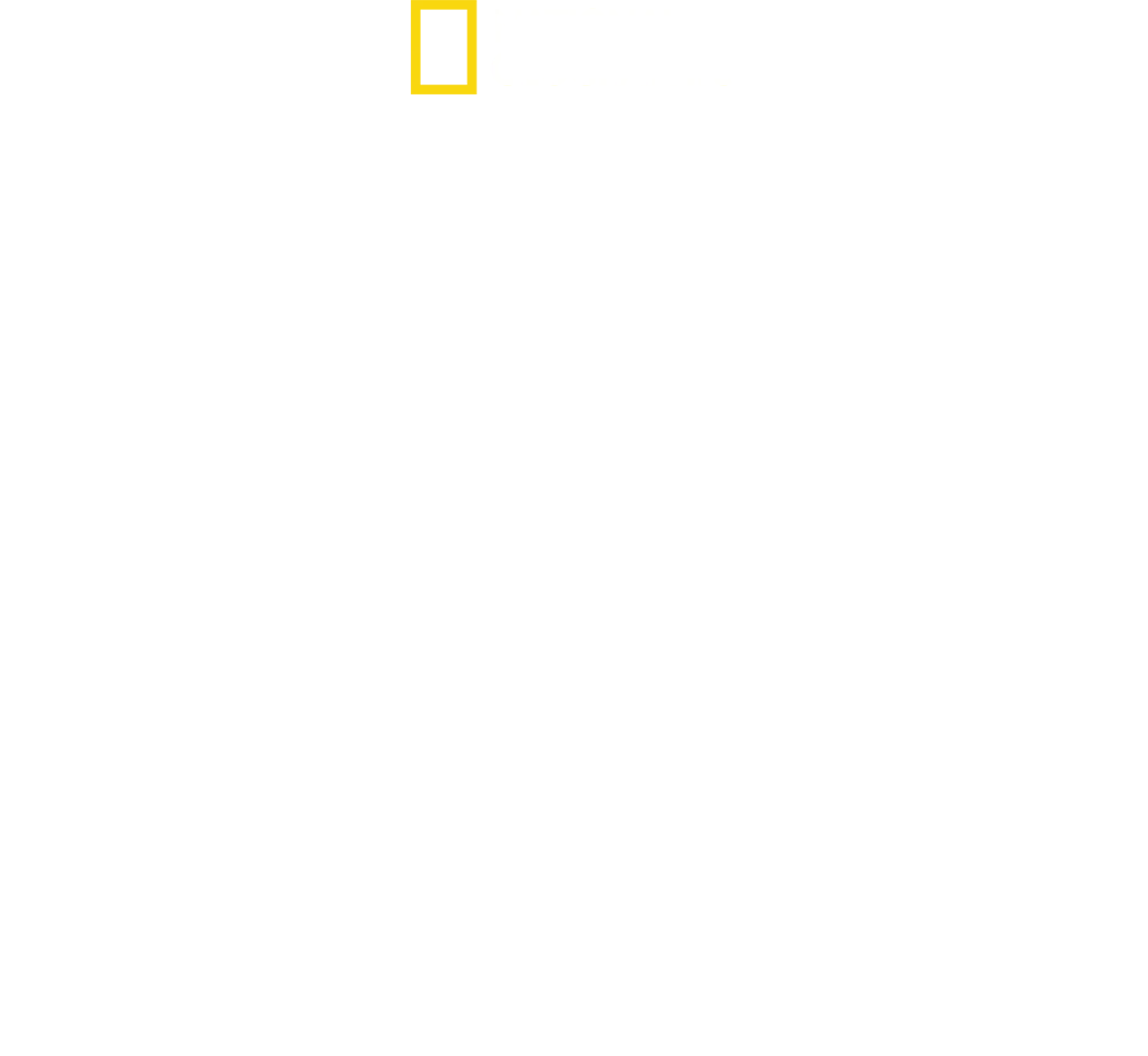 Testigos del Día D