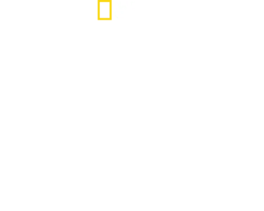 Eyewitness: D-Day